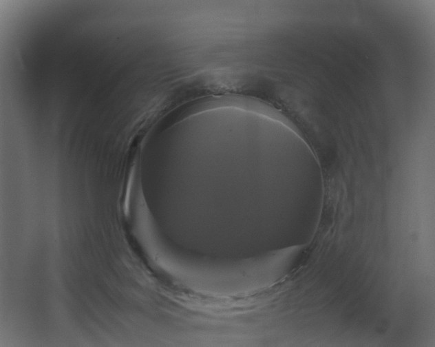 X0000067930027200604201508