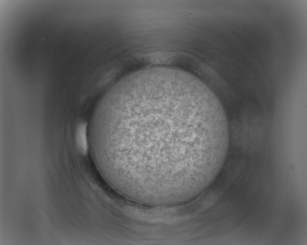 X0000067930028200604201508