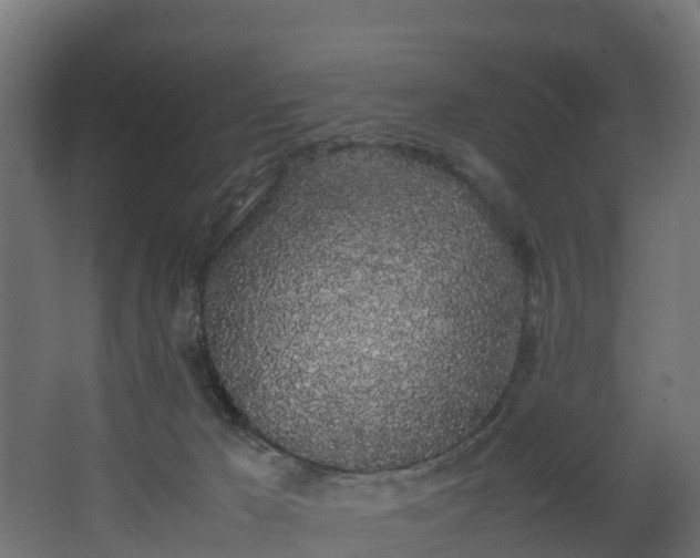 X0000067930029200604201508