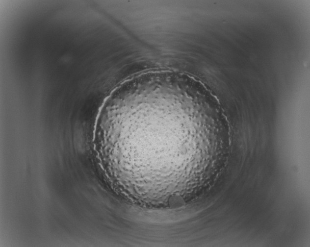 X0000067930030200604201508