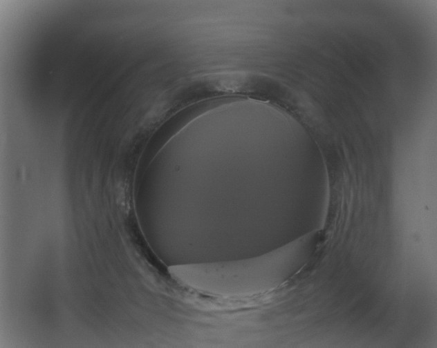 X0000067930031200604201508