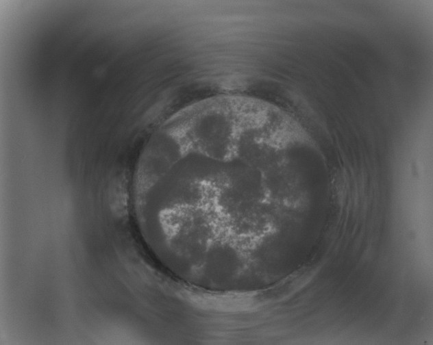 X0000067930032200604201508