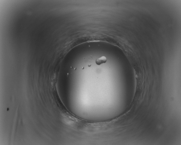 X0000067930033200604201508