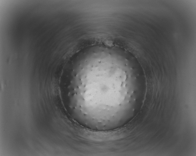 X0000067930034200604201508