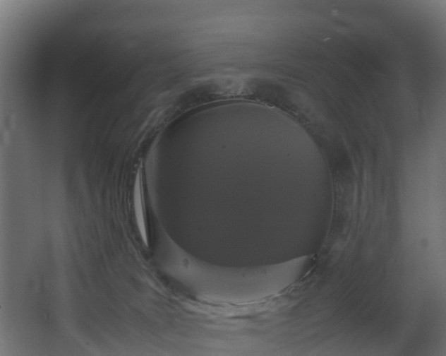 X0000067930035200604201508