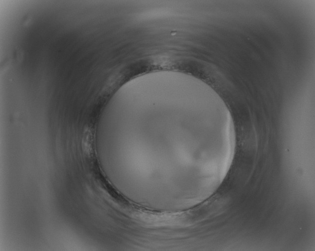 X0000067930036200604201508