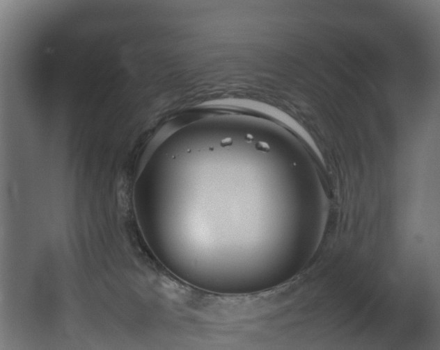 X0000067930037200604201508