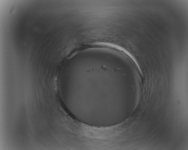 X0000067930039200604201507