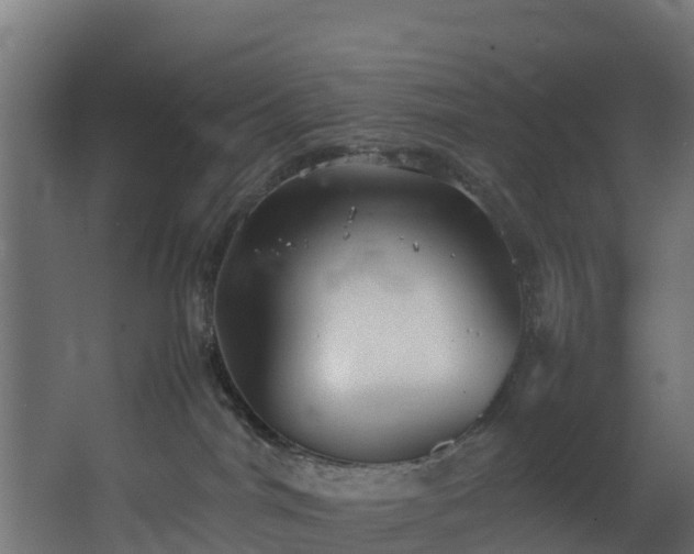 X0000067930044200604201507