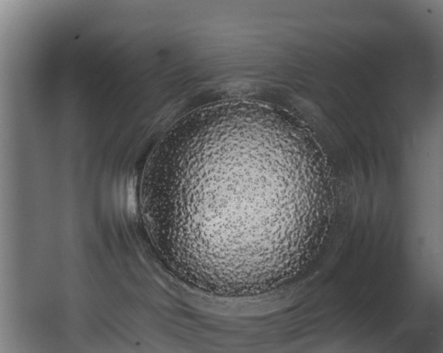 X0000067930046200604201507