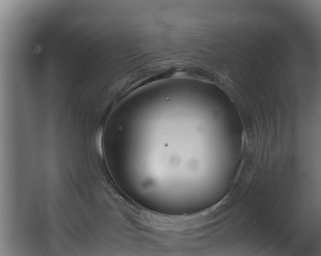 X0000067930047200604201507