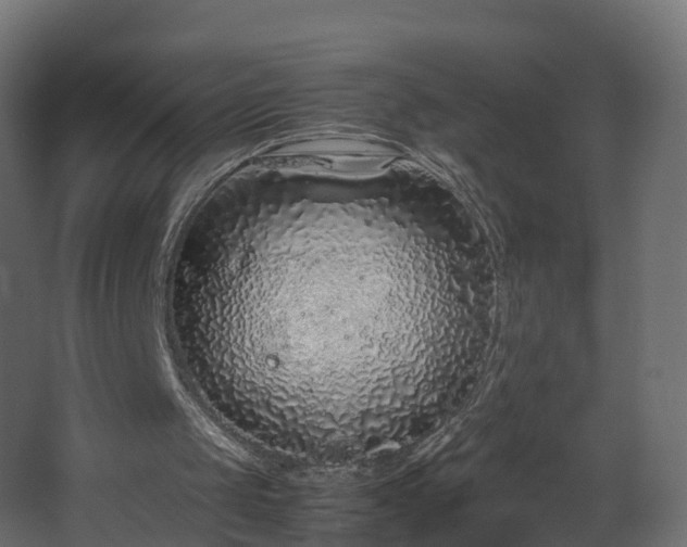 X0000067930049200604201507