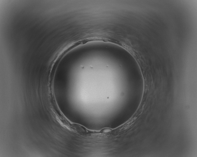 X0000067930050200604201507