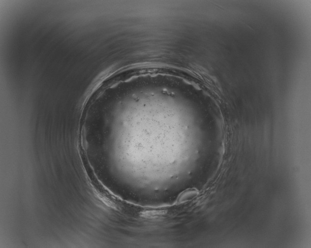 X0000067930051200604201507