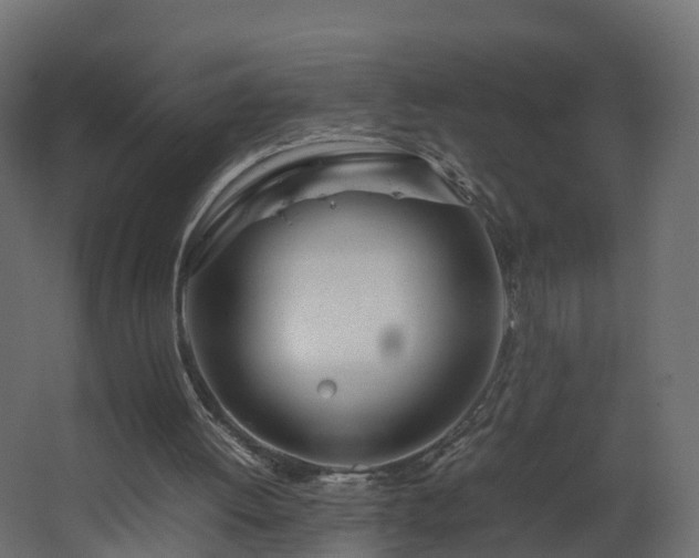 X0000067930052200604201507