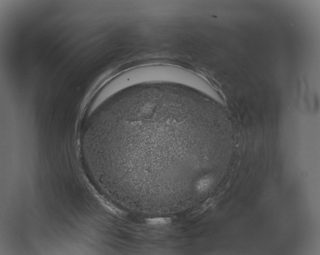 X0000067930053200604201507