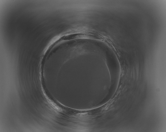 X0000067930054200604201507