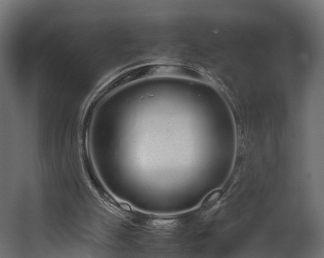 X0000067930055200604201507