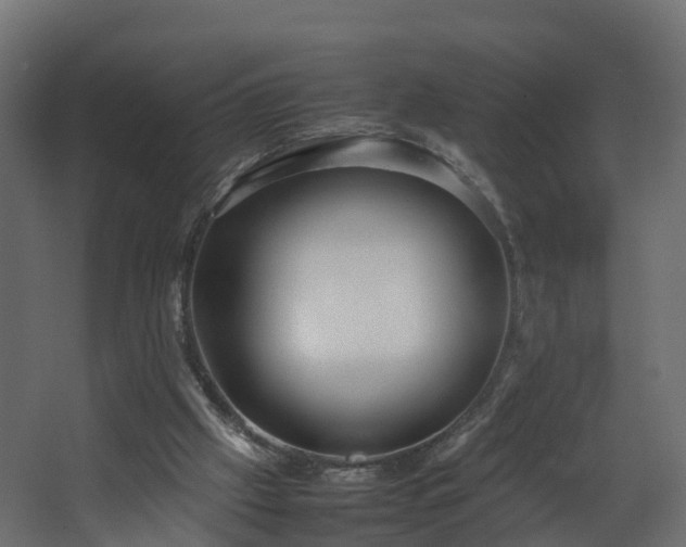 X0000067930057200604201507