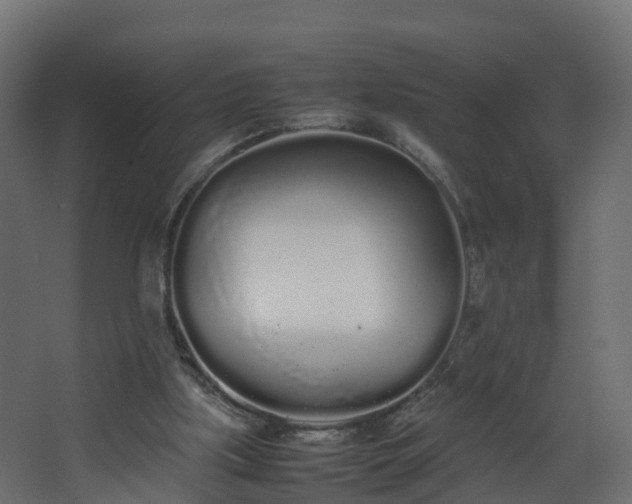 X0000067930059200604201507