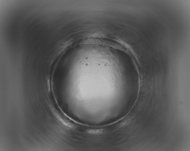 X0000067930061200604201507