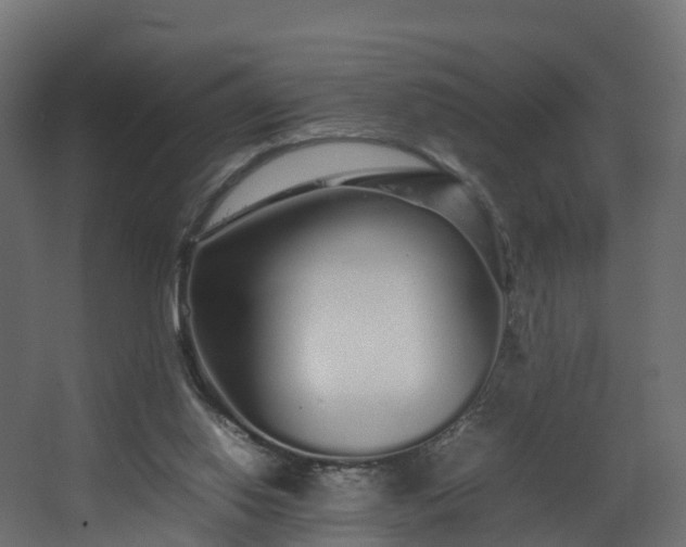 X0000067930062200604201507