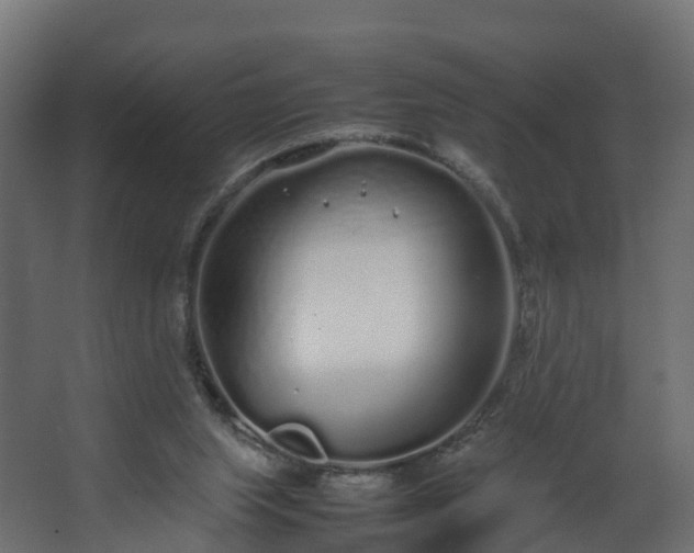 X0000067930063200604201507