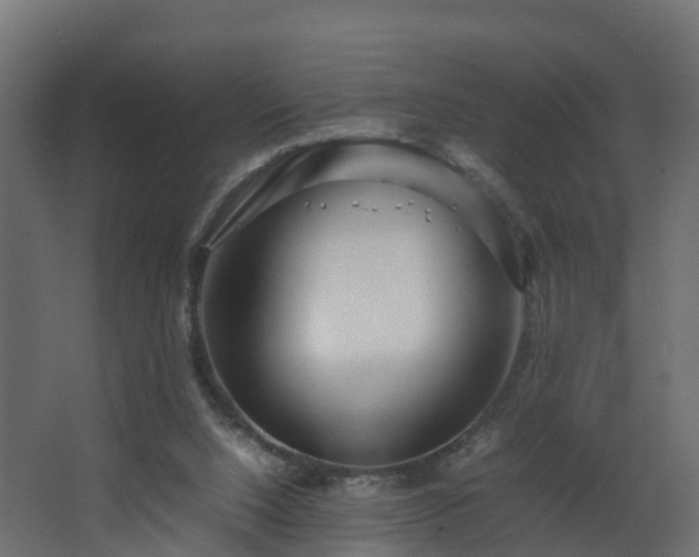 X0000067930064200604201507