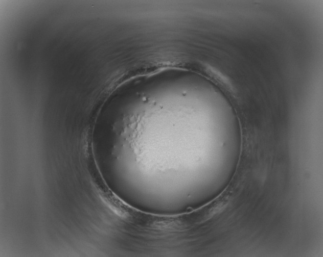 X0000067930065200604201507