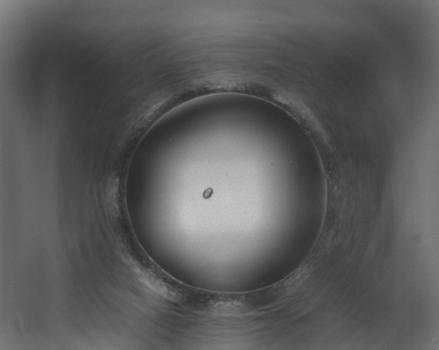 X0000067930066200604201507