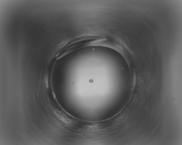 X0000067930068200604201507