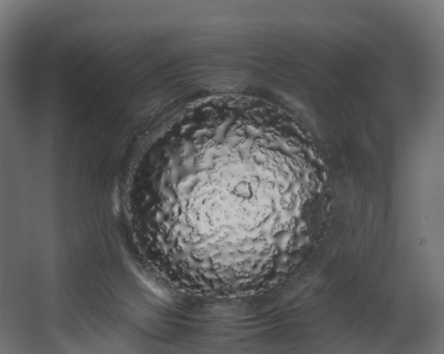 X0000067930069200604201507