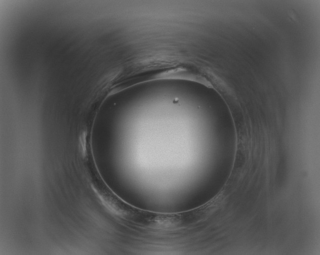 X0000067930070200604201507