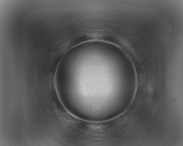 X0000067930073200604201507