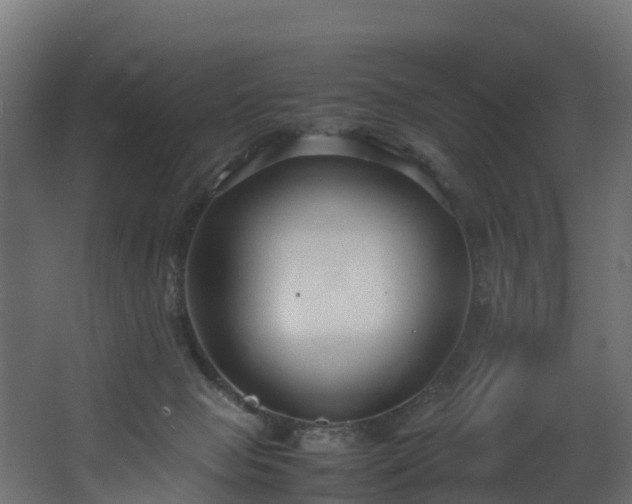 X0000067930077200604201507