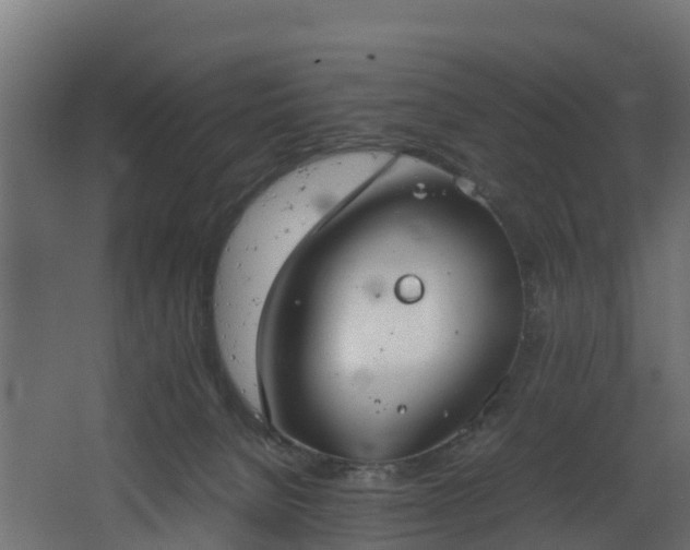 X0000067930080200604201507