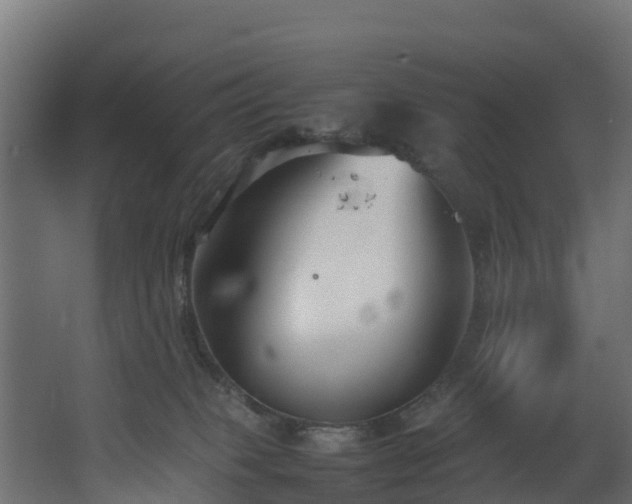 X0000067930085200604201507