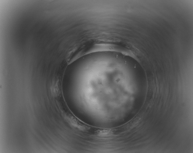 X0000067930088200604201507