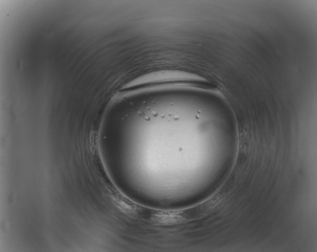 X0000067930093200604201507