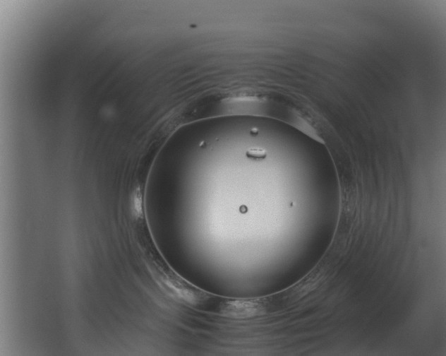 X0000067930095200604201507