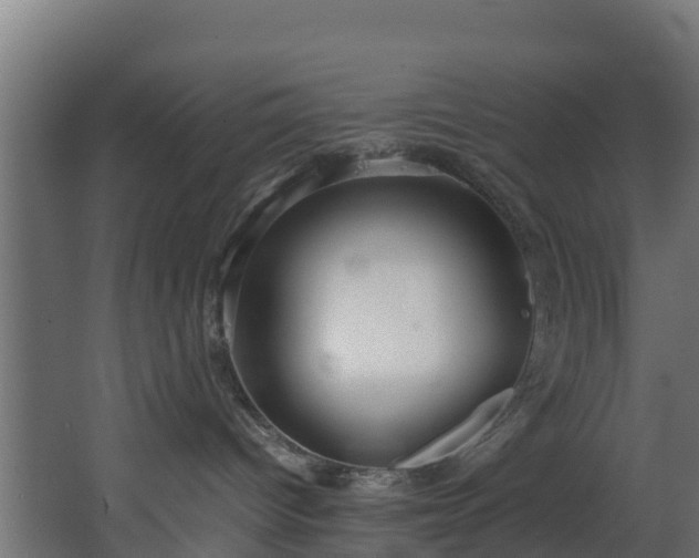 X0000067930096200604201507