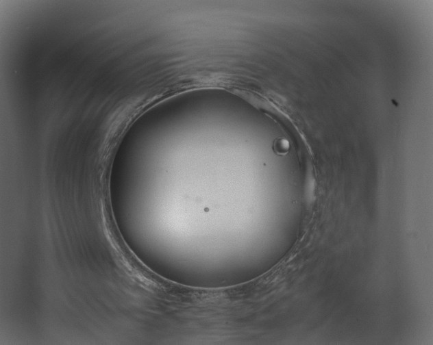 X0000067930097200604201506