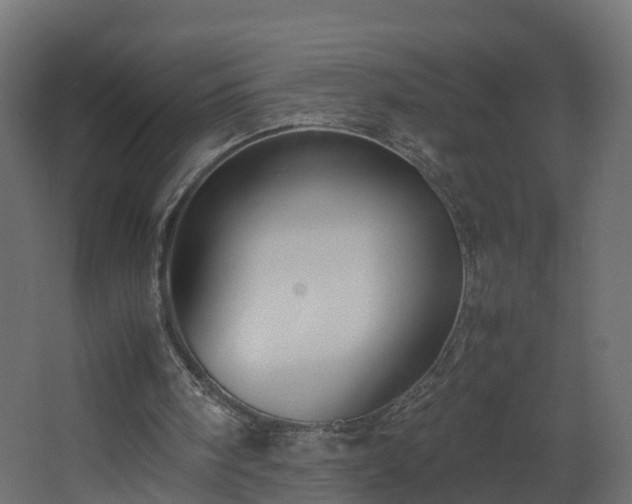 X0000067930098200604201506