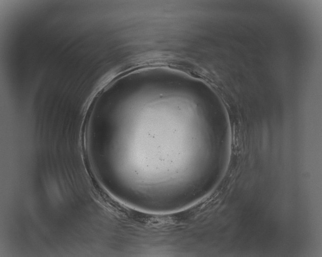 X0000067930099200604201506