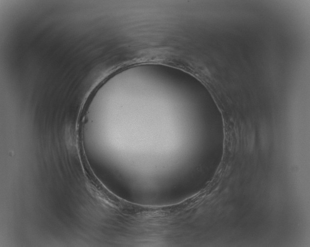 X0000067930100200604201506