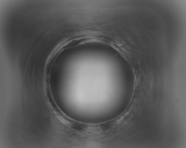 X0000067930101200604201506