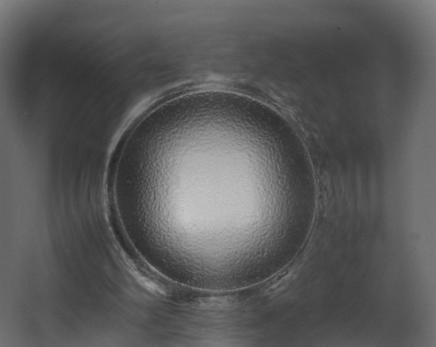 X0000067930102200604201506