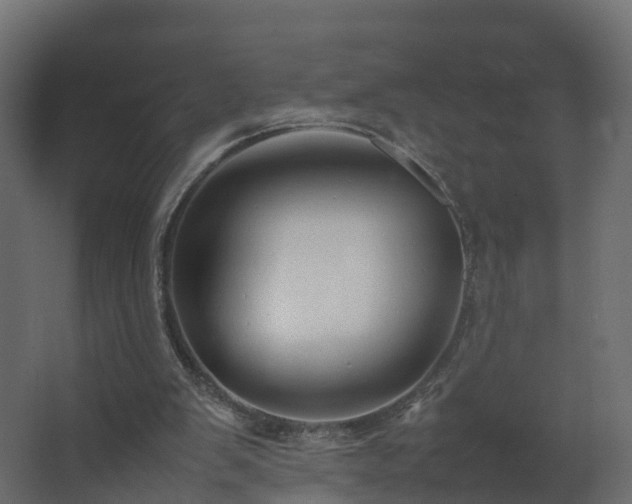 X0000067930103200604201506