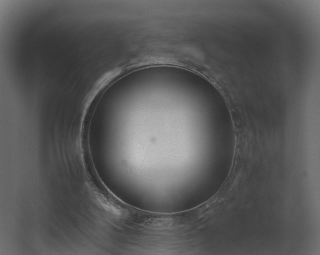 X0000067930104200604201506