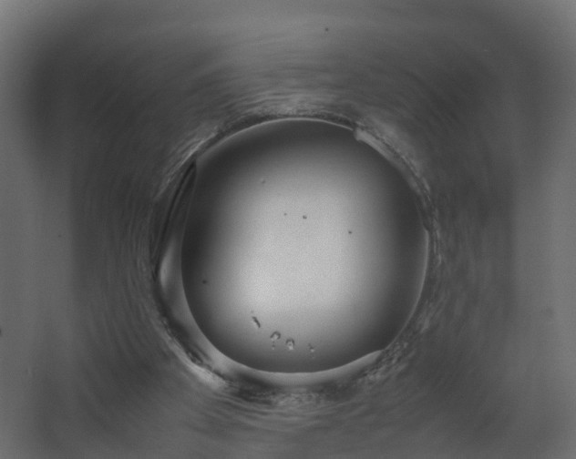 X0000067930105200604201506